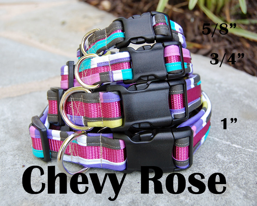 Chevy Rose Dog Collar | Stitchpet