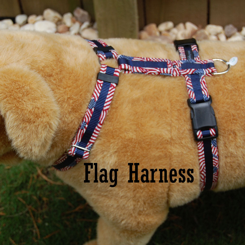 Dog Harness - Flag