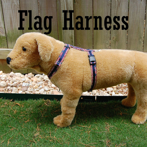 Dog Harness - Flag