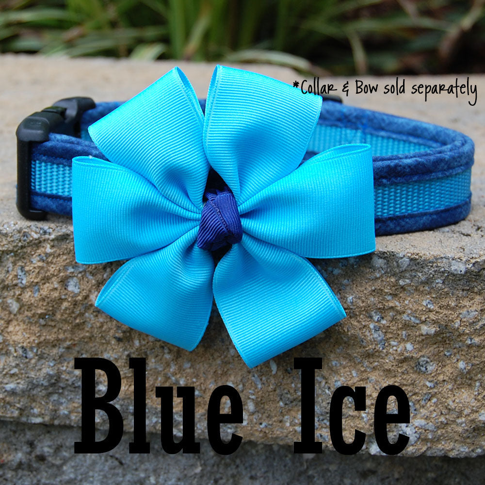 Dog Bow - Blue Ice