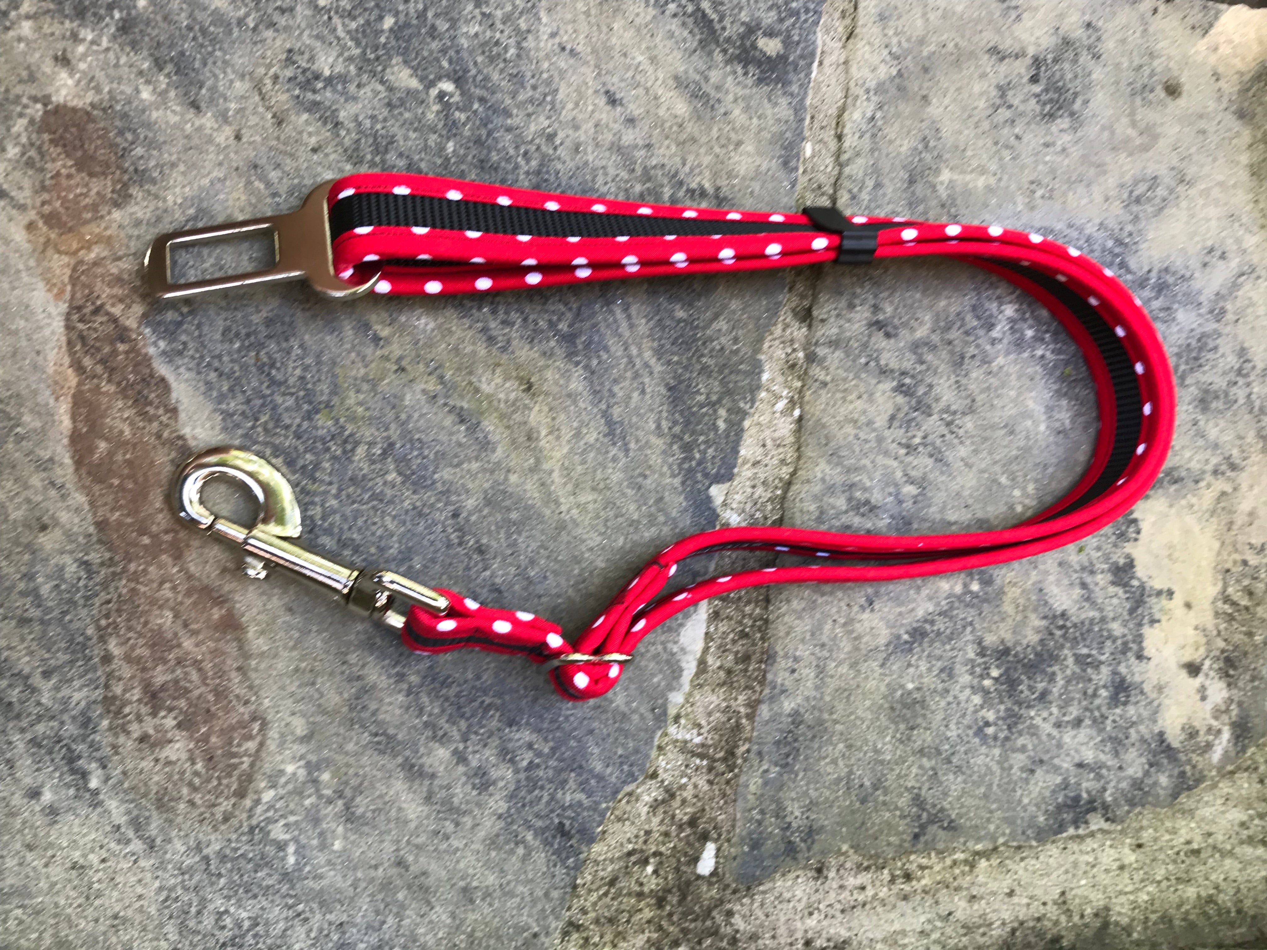 1" Seatbelt Leash for Dogs | Red Dot | Stitchpet