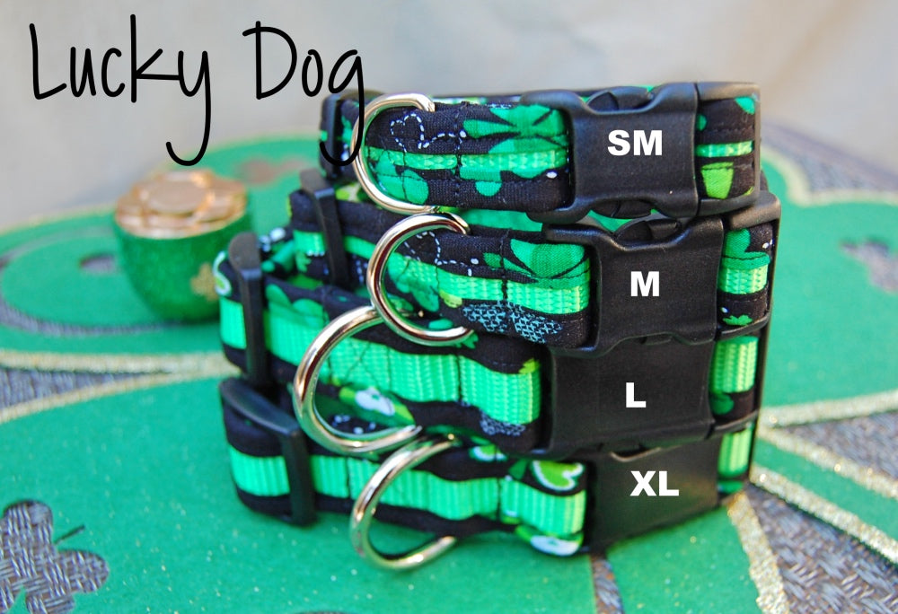 Lucky Dog Collar | Stitchpet