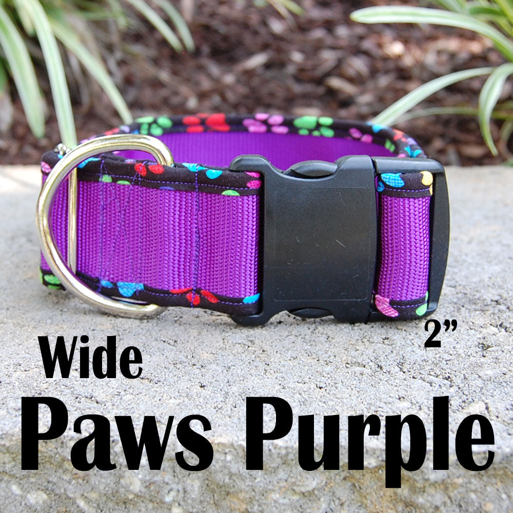 Wide Dog Collar - Paws